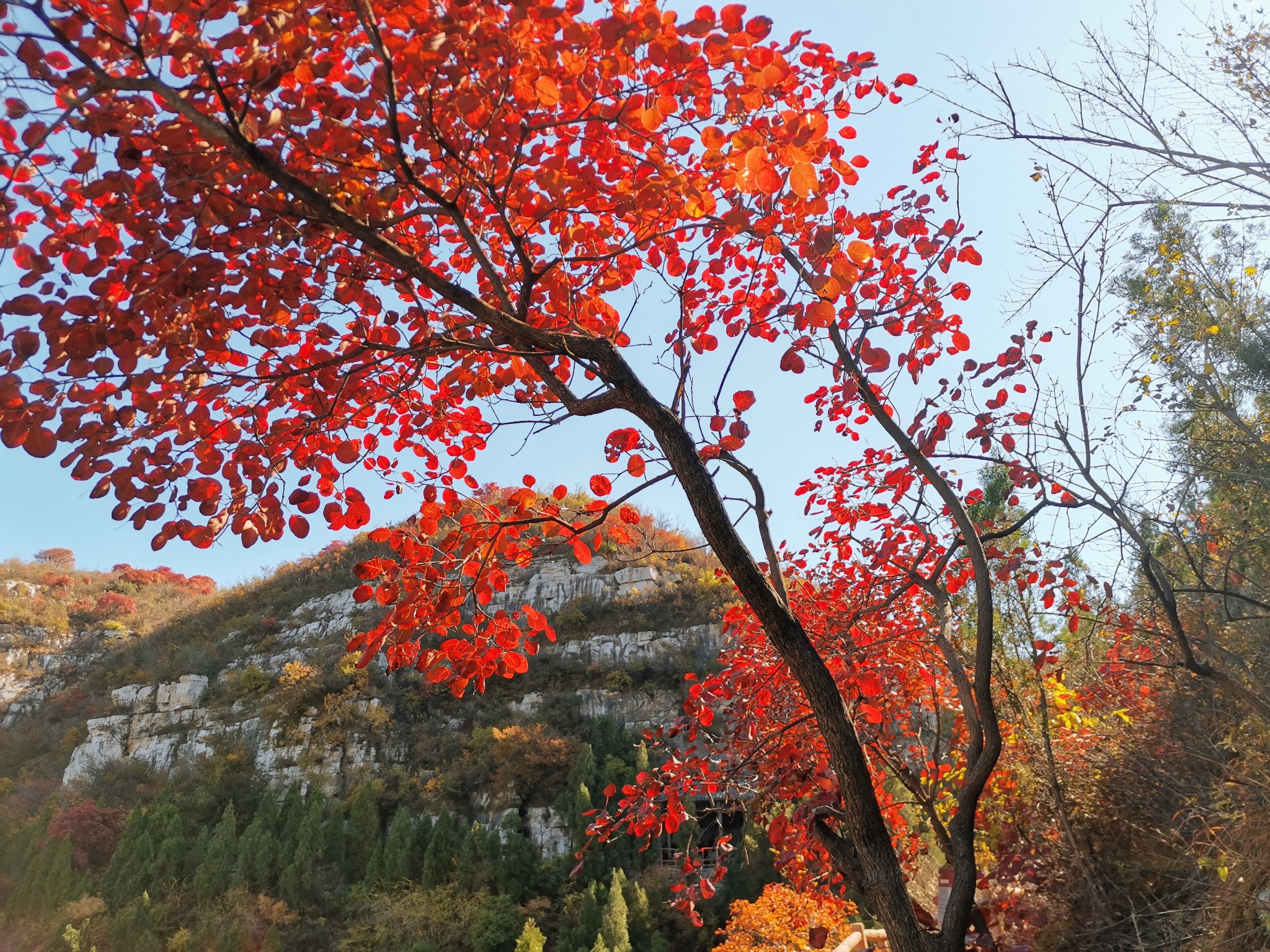 披红季节来看你---淄博齐山红叶节------青州锯齿崖_游记