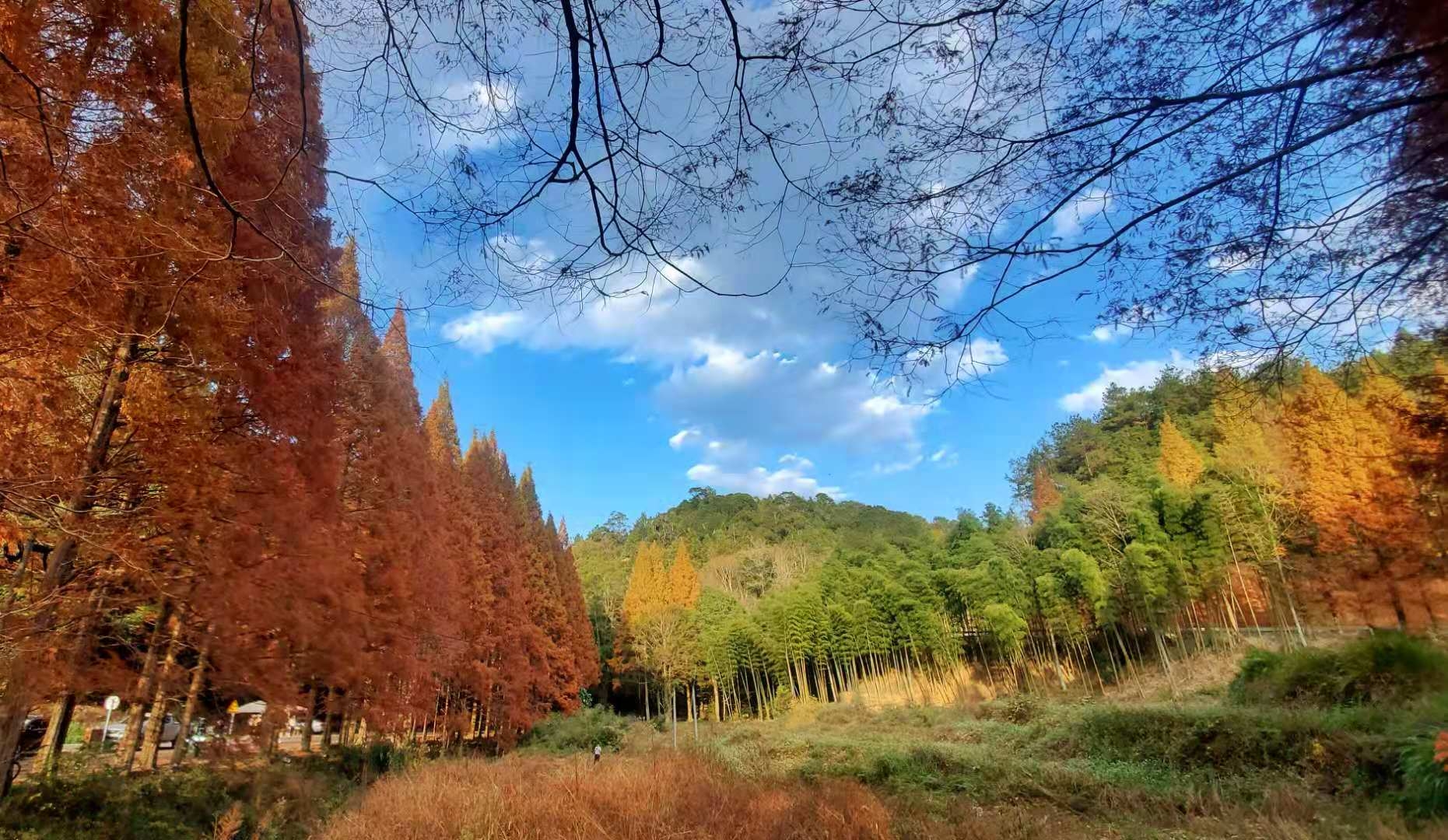 将乐 龙栖山红水衫～