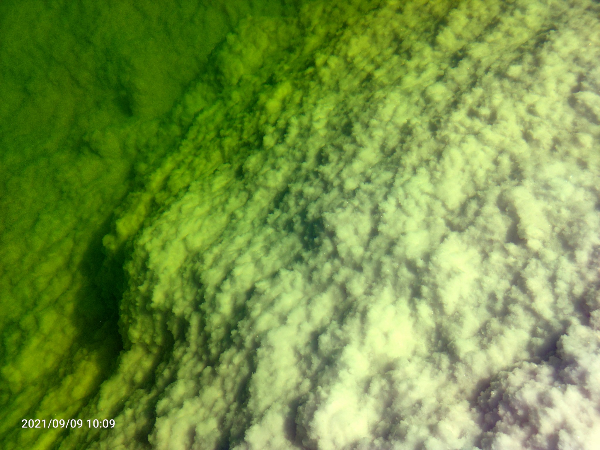 拖箱自由行之青海新疆（六）大柴旦湖_游记