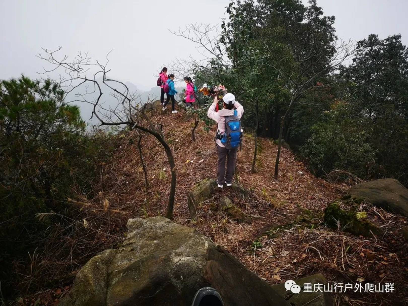 山行游记徒步重庆蛇头山选择