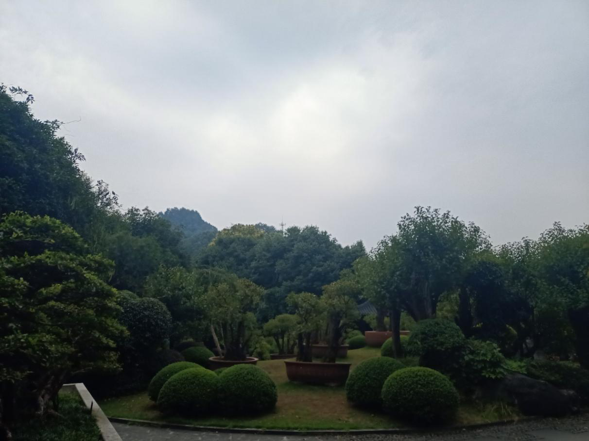 邂逅根雕——根宫佛国