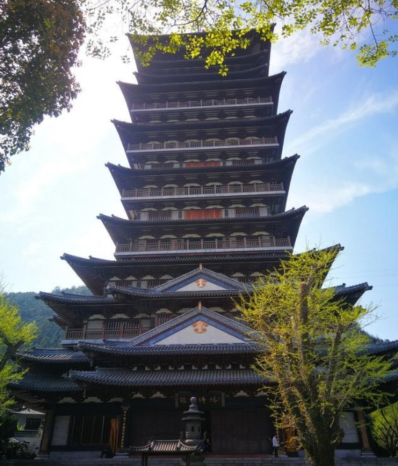 邂逅根雕——根宫佛国