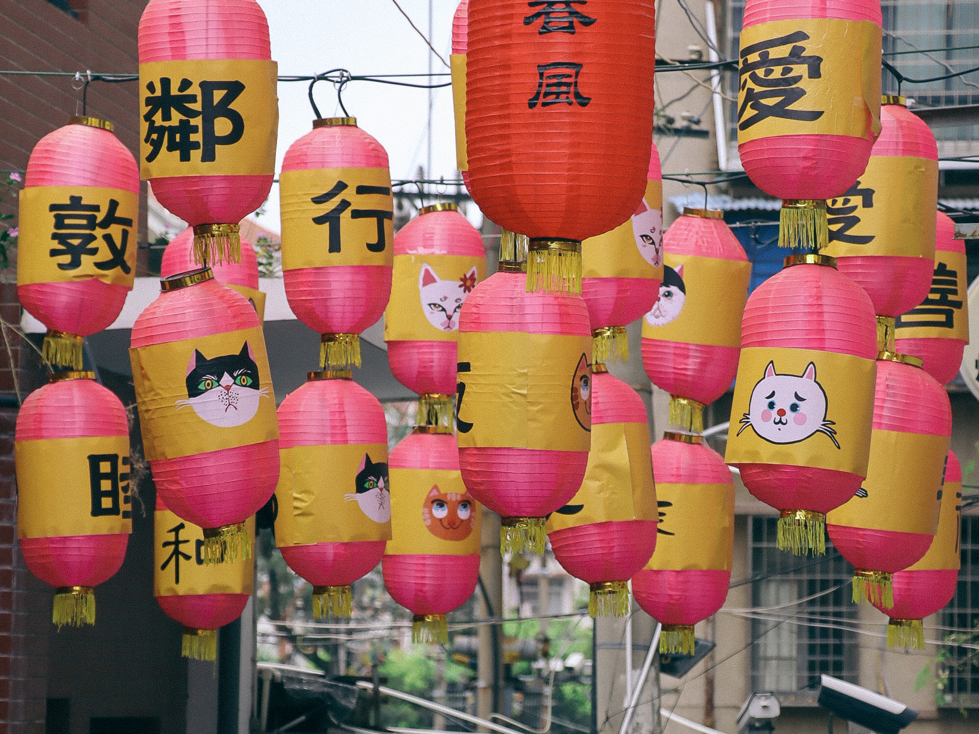 ·厦门就是那个我梦中喜欢的样子|48小时带你匆匆略过一座城市_游记