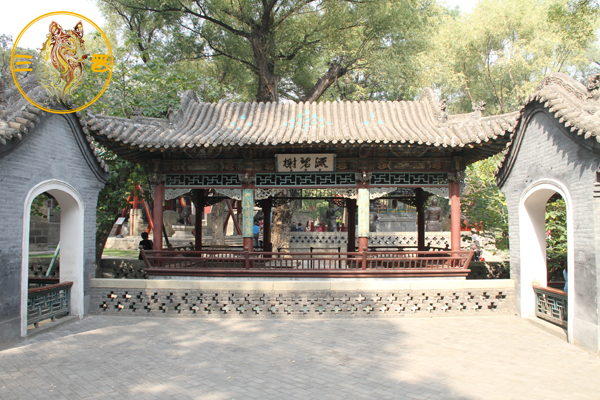 晋祠-微波龙鳞莎草绿