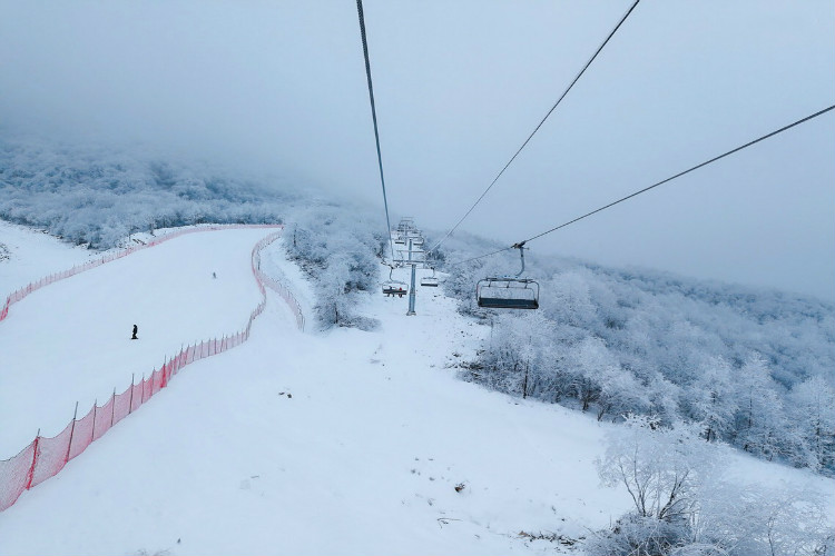 云端森林酒店标间住宿一晚 双人早餐 鳌山滑雪场初级全天日场滑雪套票