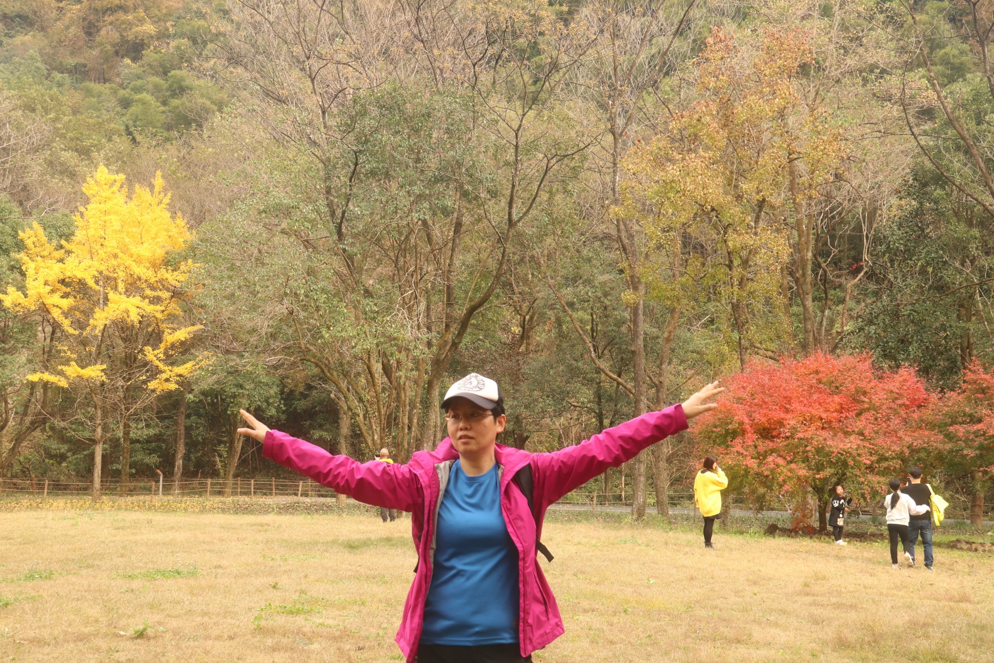 从来银杏不负秋，又是一年叶黄时，将是枫叶正当季，满城皆为红金甲---金秋五泄扫【黄】撩【朱】记_游记