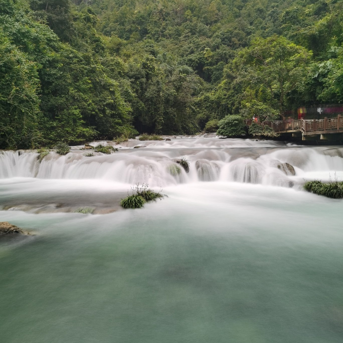 爱旅行的三叶草