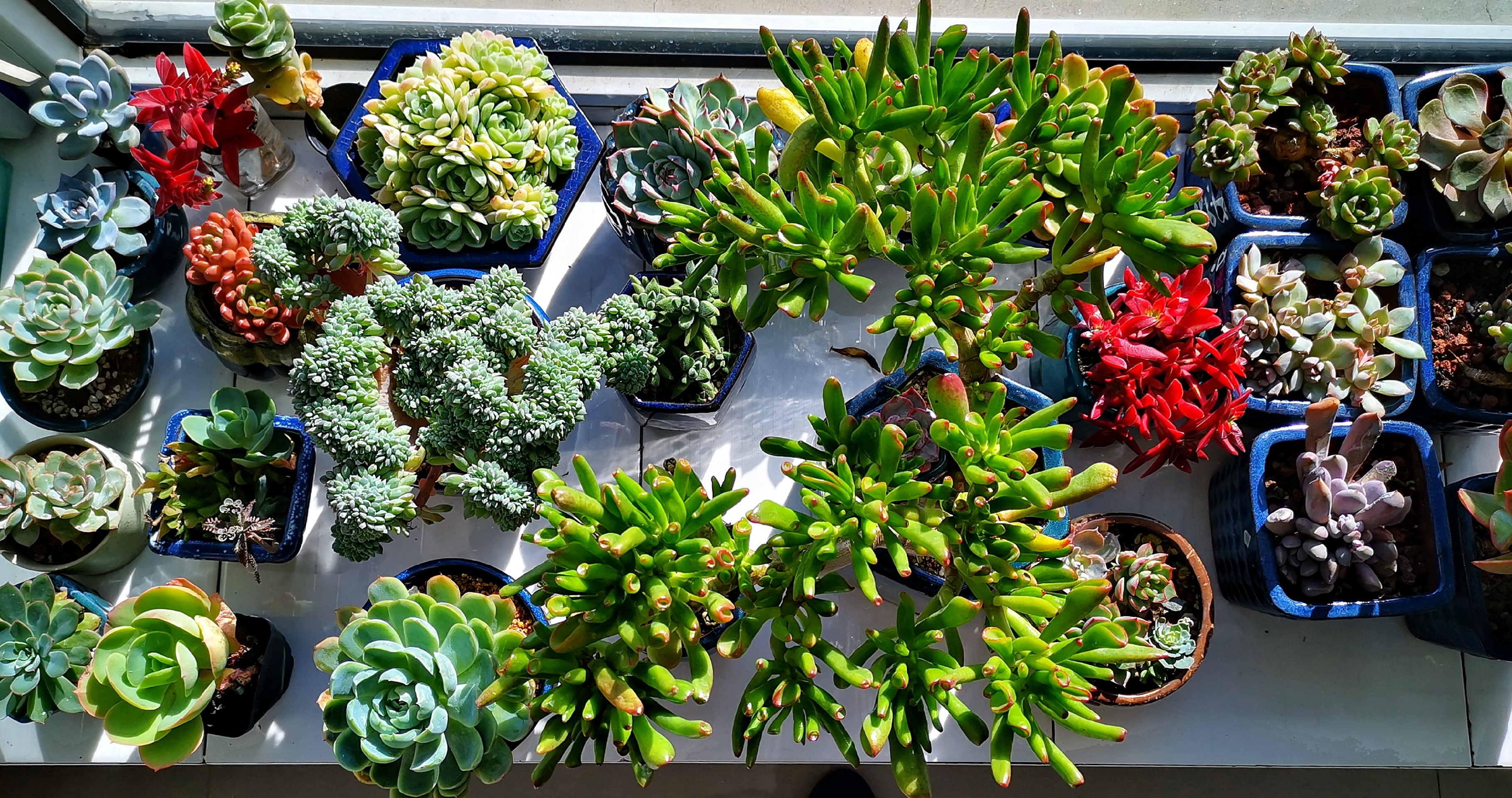 【黑河景点图片】二龙山农场水上公园