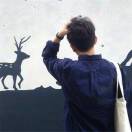 Wild_Rob