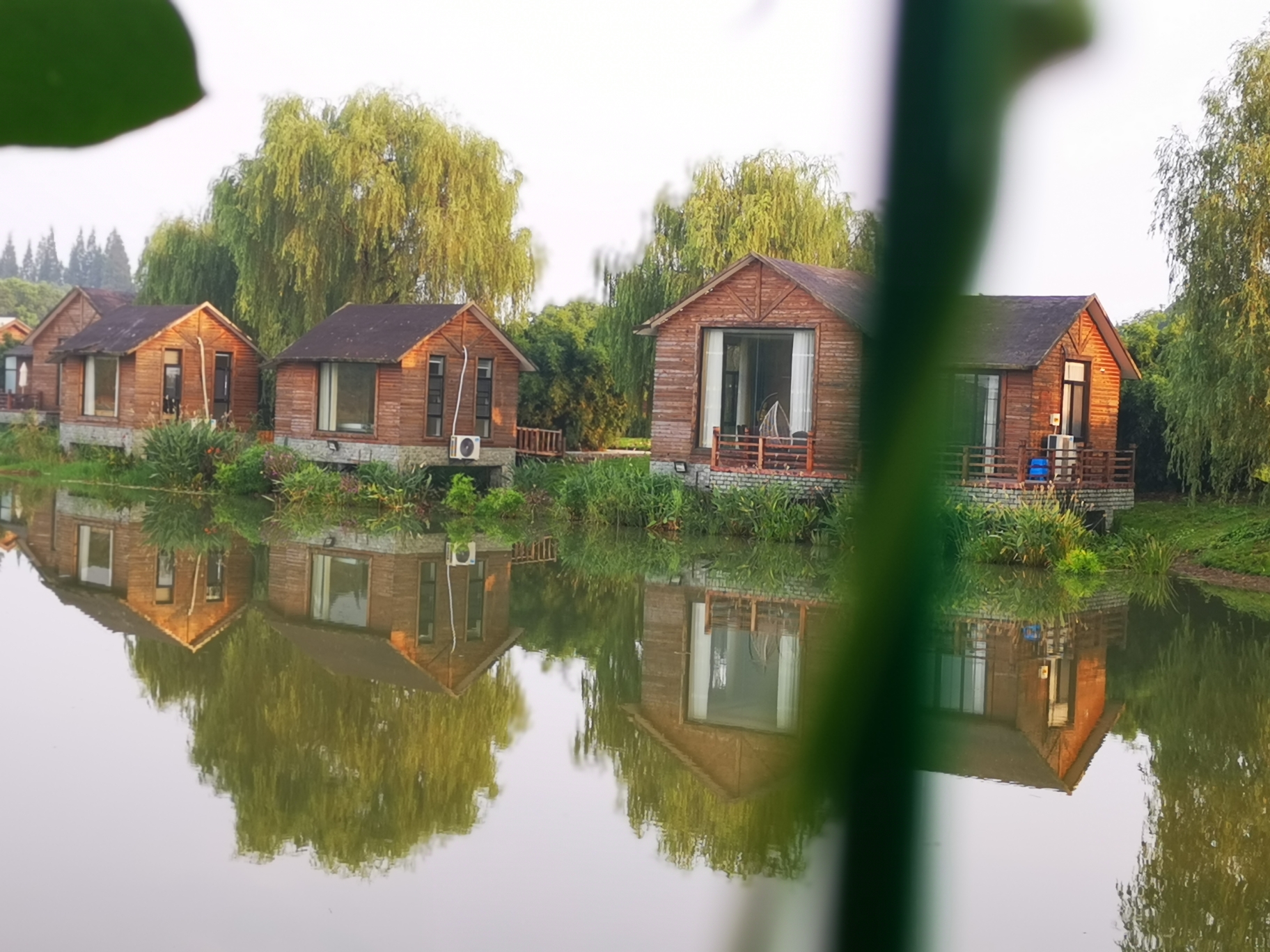 最后的原生态~肖甸湖森林公园_游记