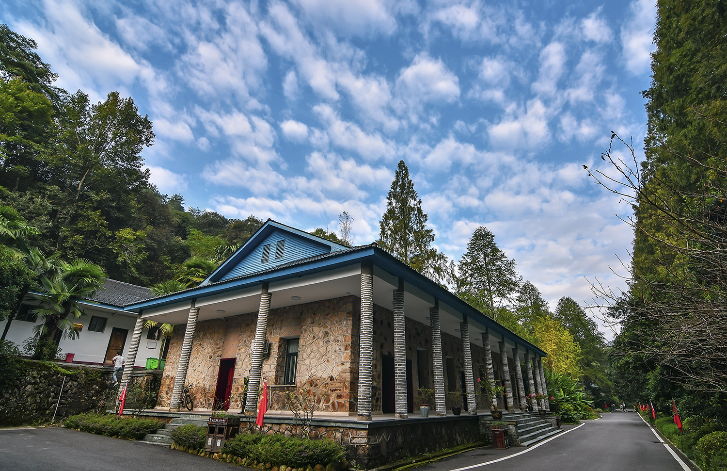 清幽的大茅山梧风洞，竟隐藏着总司令住过的别...