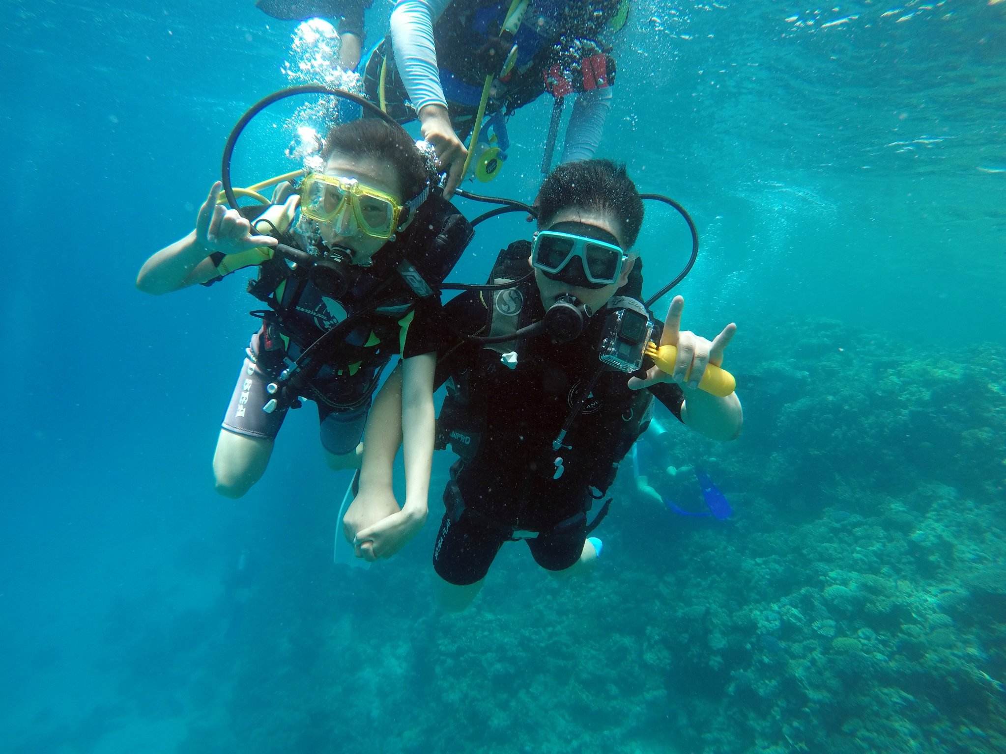 深圳西冲情人岛潜水体验一次正规潜水俱乐部含往返岛上快艇提供全部
