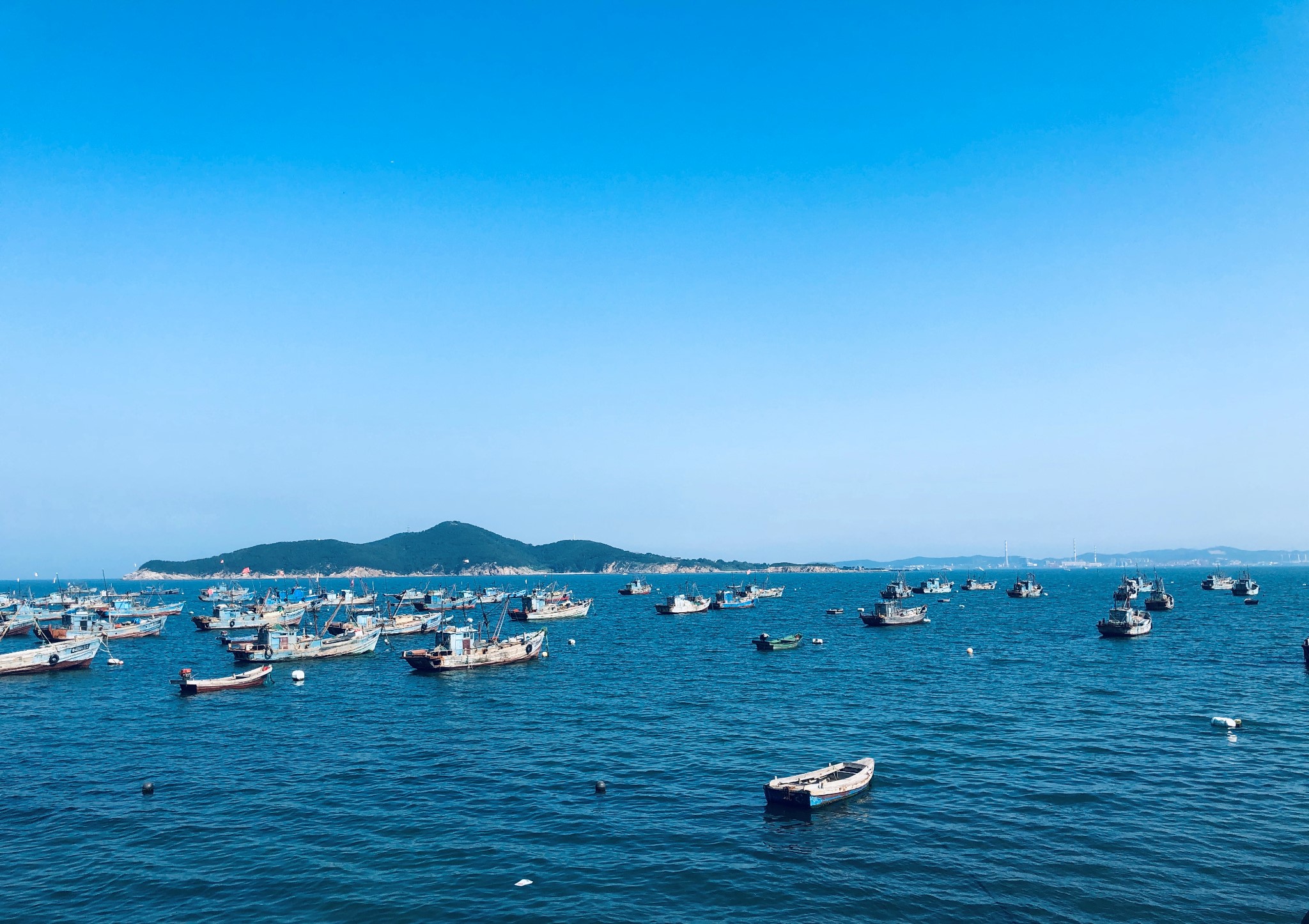 这个夏天圆满了,绿树红砖,碧海蓝天(威海-烟台-青岛)