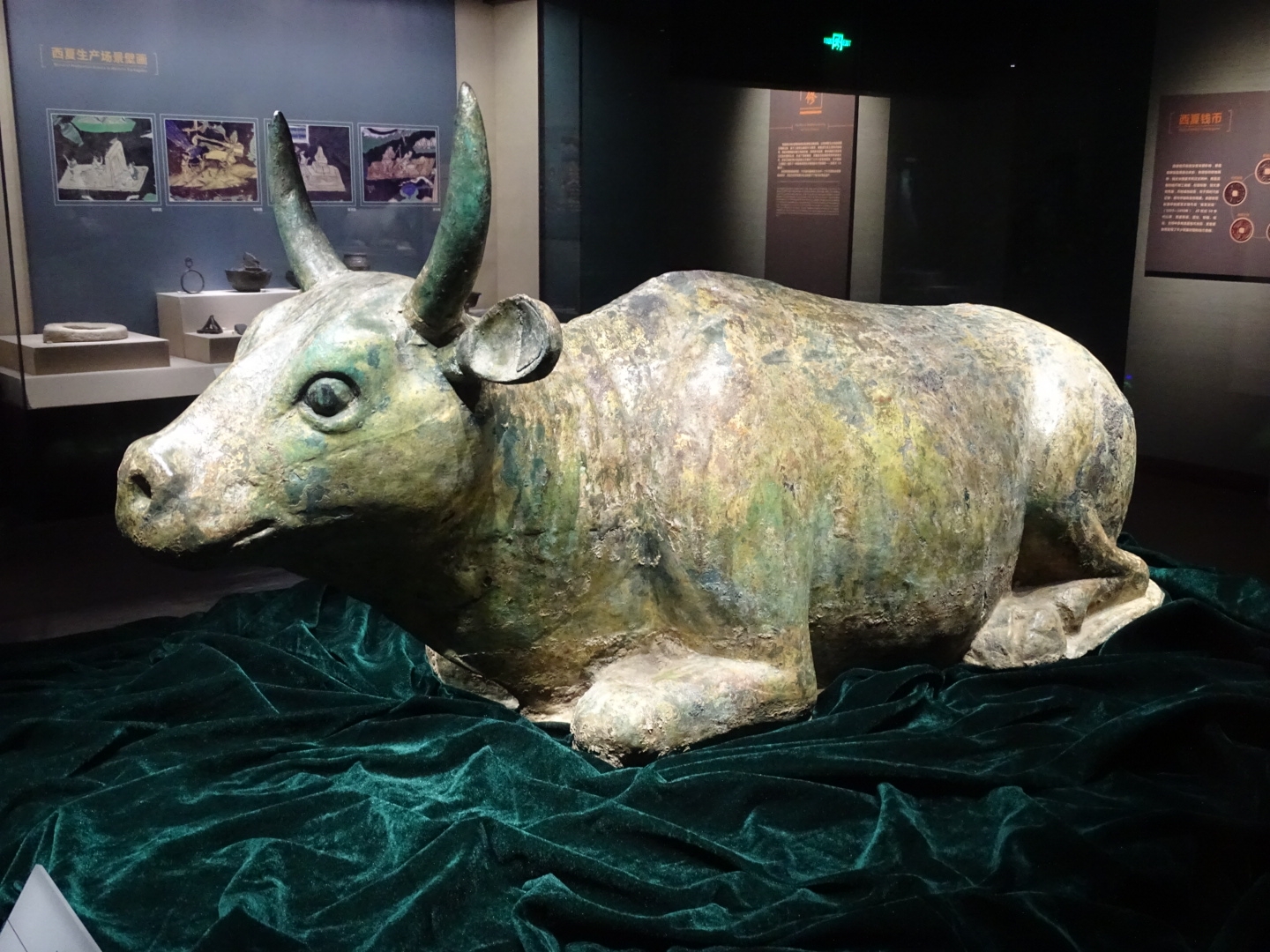 回乡特色 西夏风情——宁夏博物馆小记_游记
