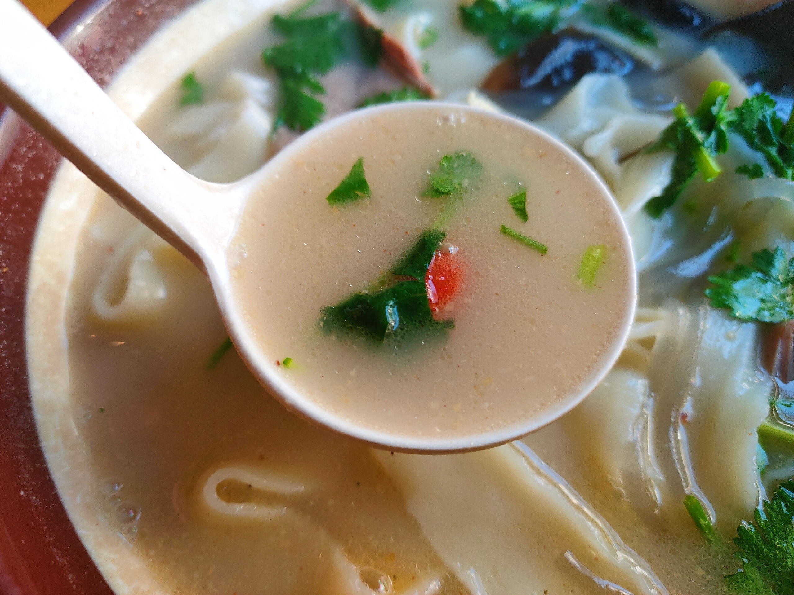 青岛美食-豫尚面手擀面