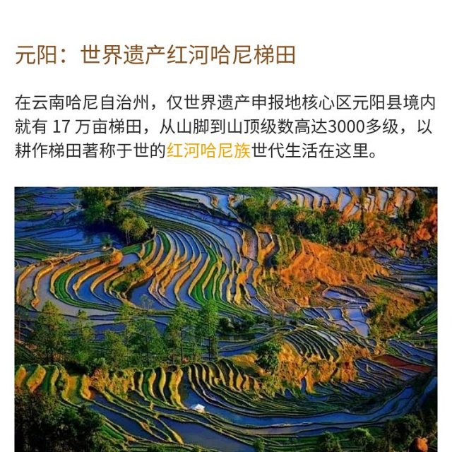 云南 元阳哈尼梯田 墨江北回归线标志园 中华普洱茶博览苑 中科院