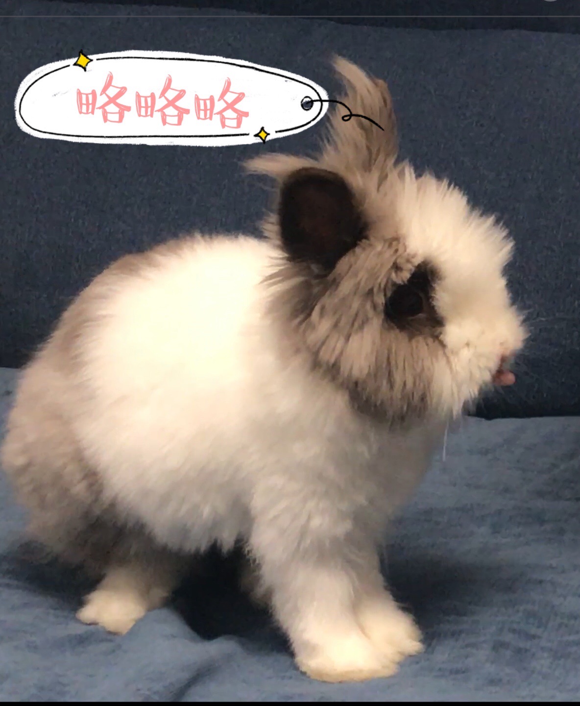 南京美食-娜•琼浆