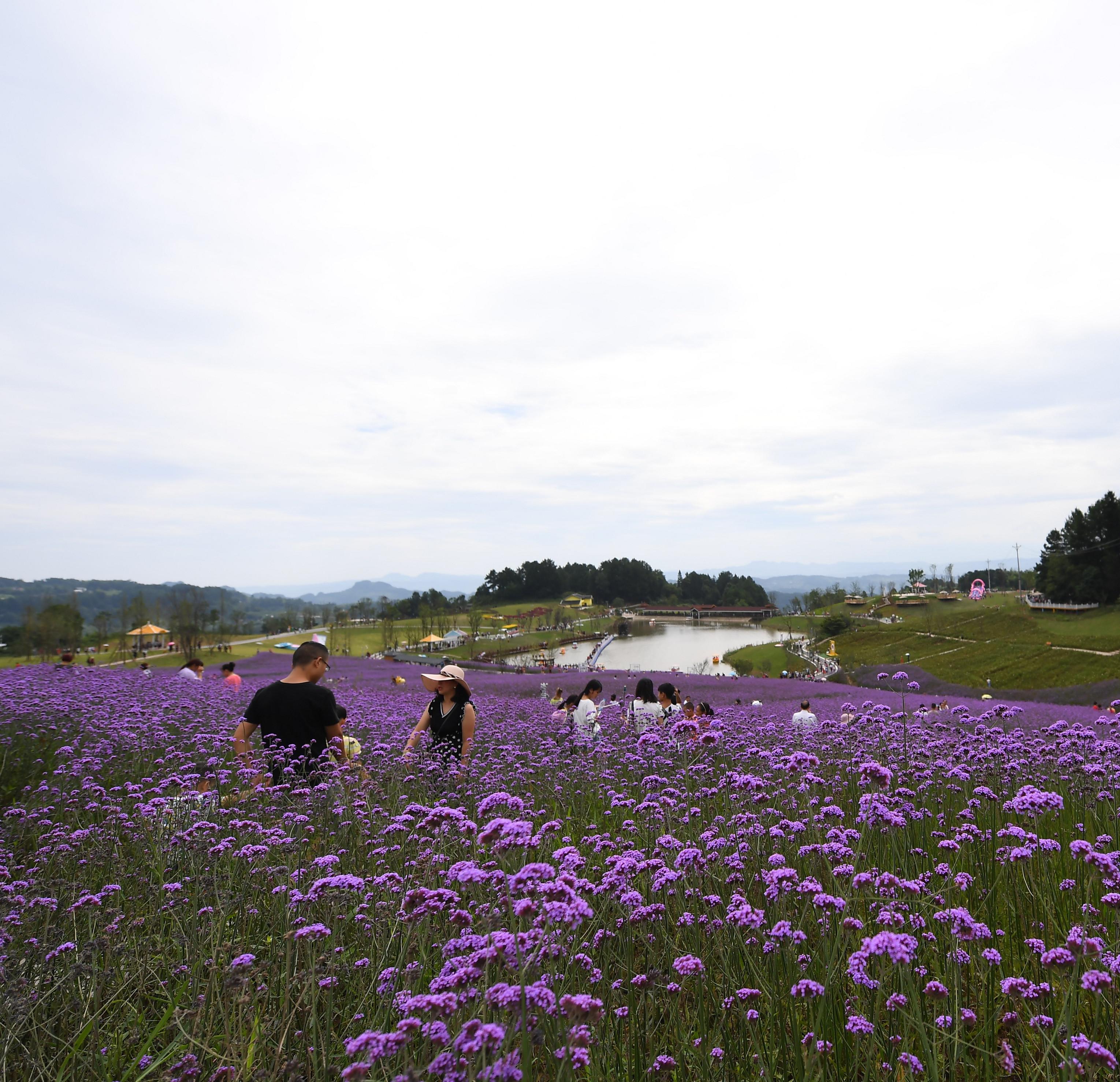 重庆 横山花仙谷门票