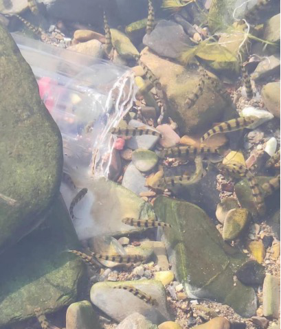 探索开化，甜蜜之旅