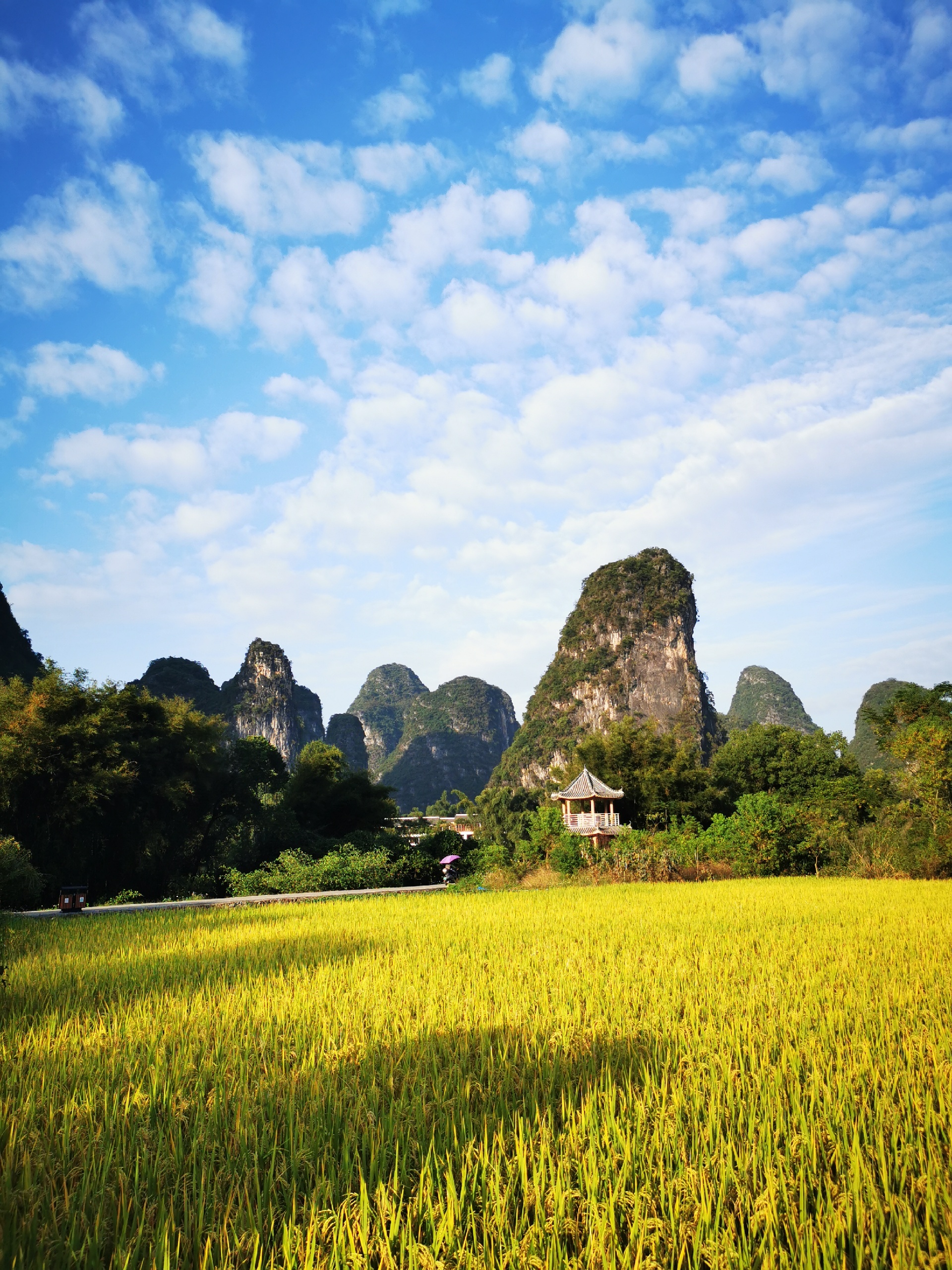 阳朔美食-日头火(南站店)