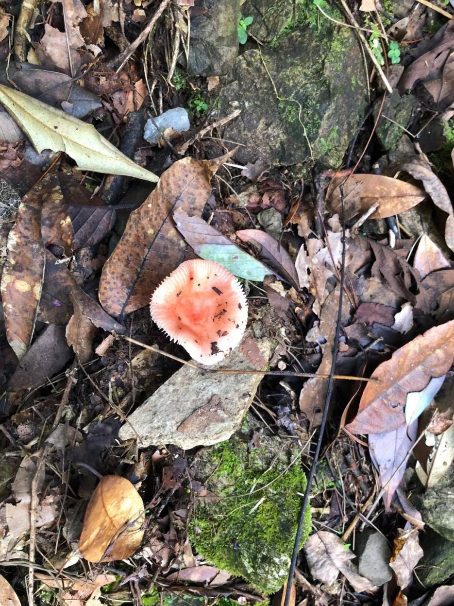 探索开化，甜蜜之旅