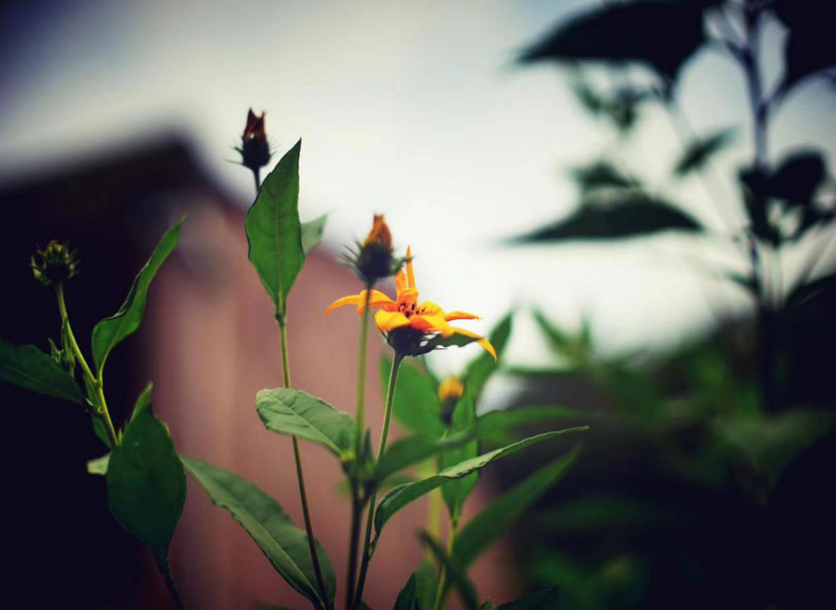 探索开化，甜蜜之旅