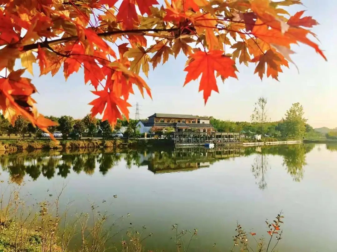 降温之前，快来这里开启一场“沉浸式”秋游！