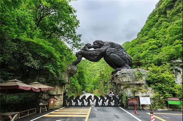 湖北武汉动车5天4晚跟团游(东湖公园 随州千年银杏谷 醉美秋色神农架