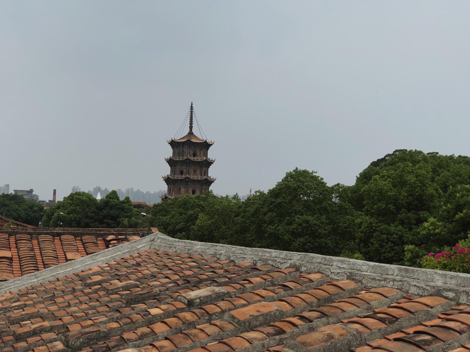 泉州城游记_游记