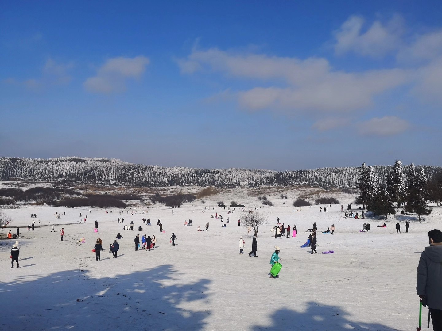 重庆武隆仙女山滑雪一日游纯玩周边1日旅游滑雪门票赏雪玩雪【vip团含