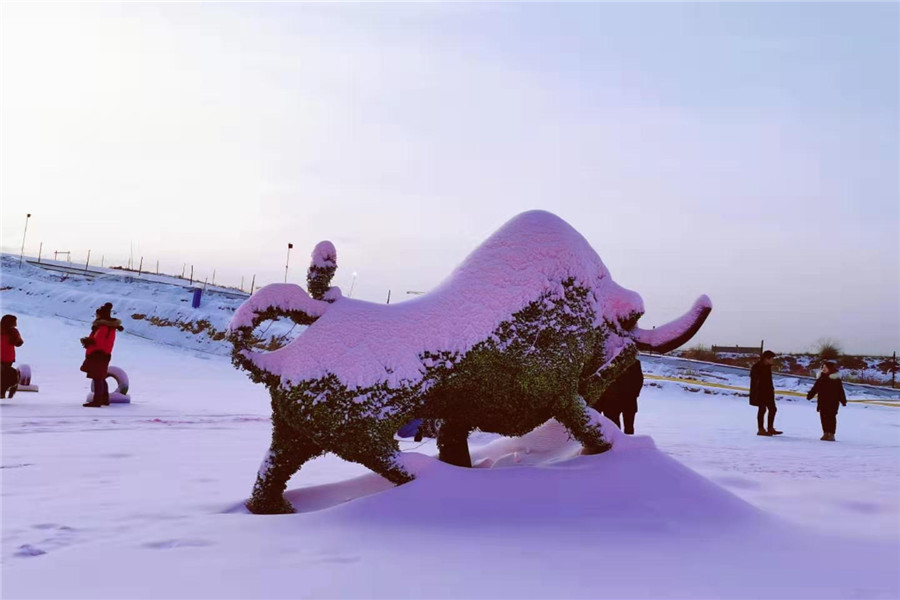 西夏风情园滑雪场滑雪票(可选2小时/不限时滑雪)