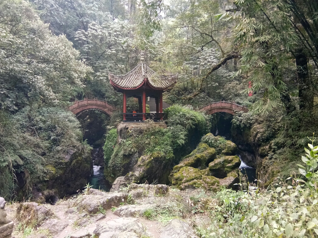 2021年3月又双叒叕刷成都 三上峨眉乐山_游记
