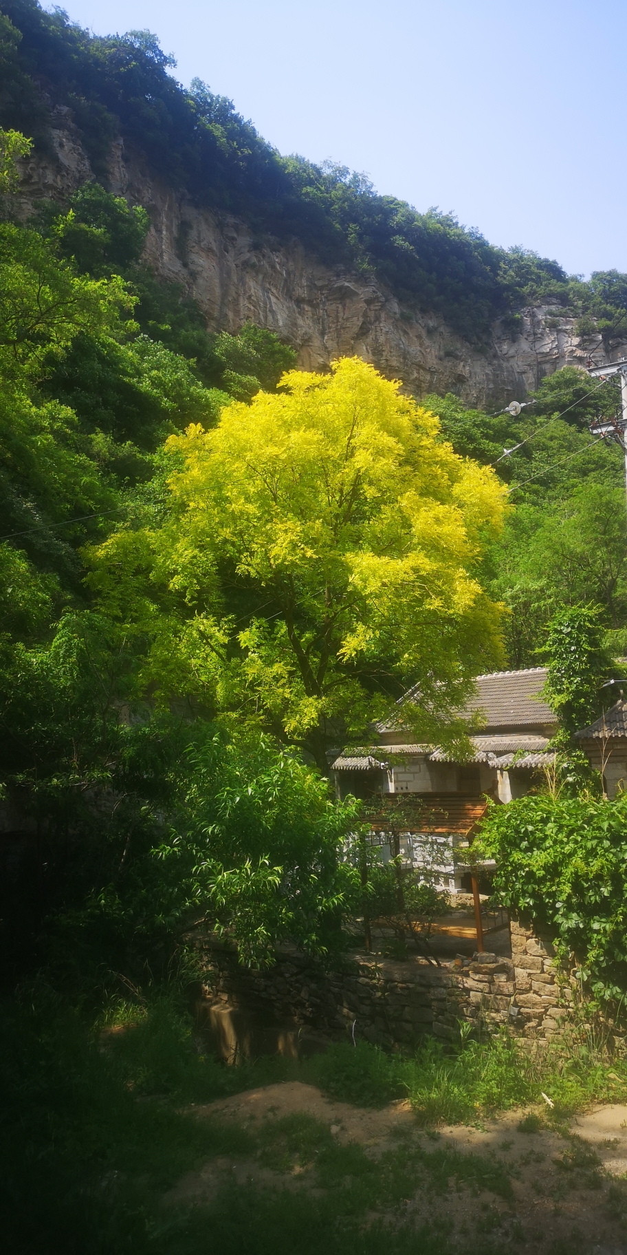 古村落旅行记录之博山西厢村