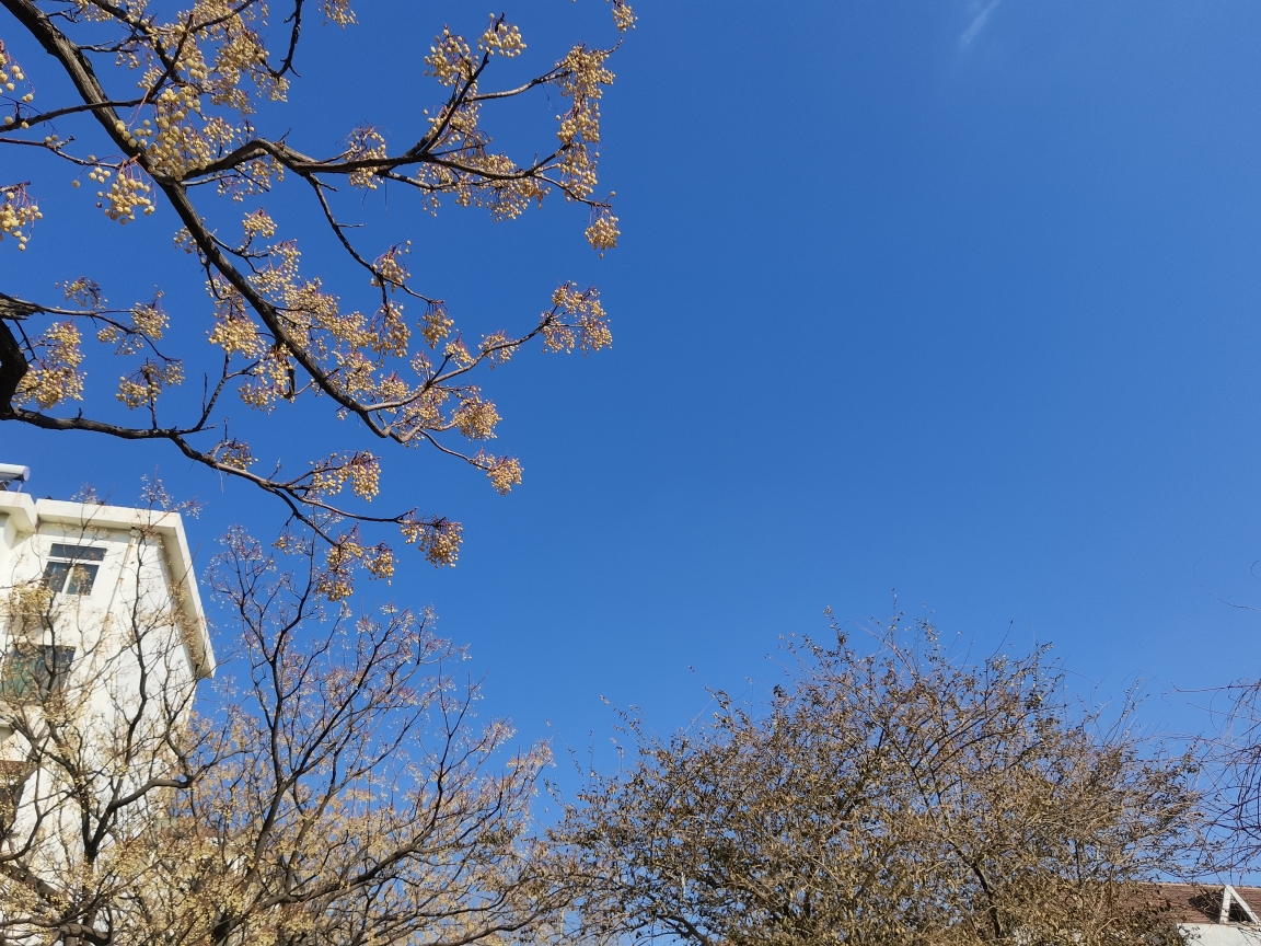2021春节趴_游记