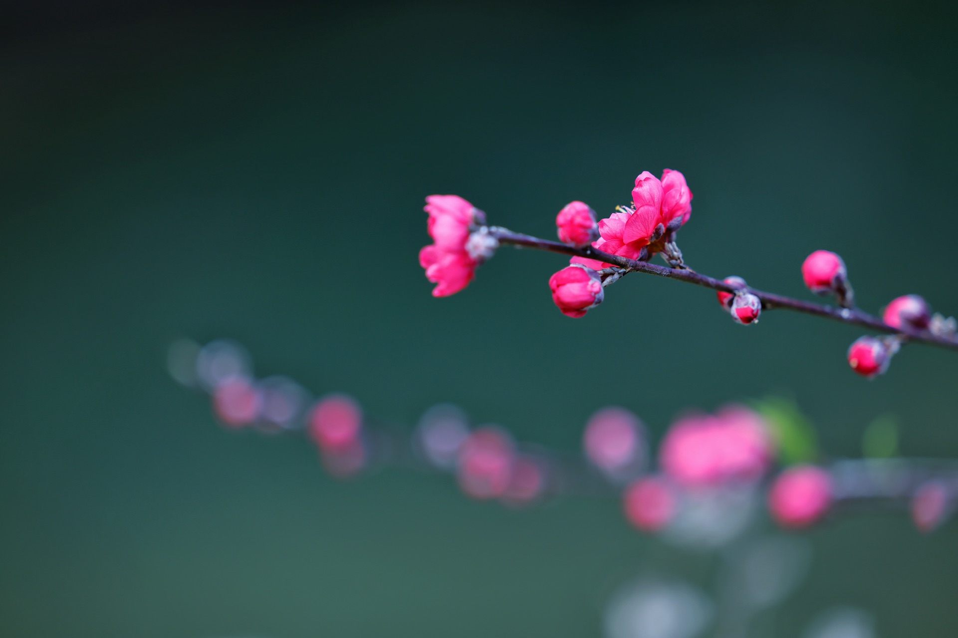 世间香境 七溪地 半日游_游记