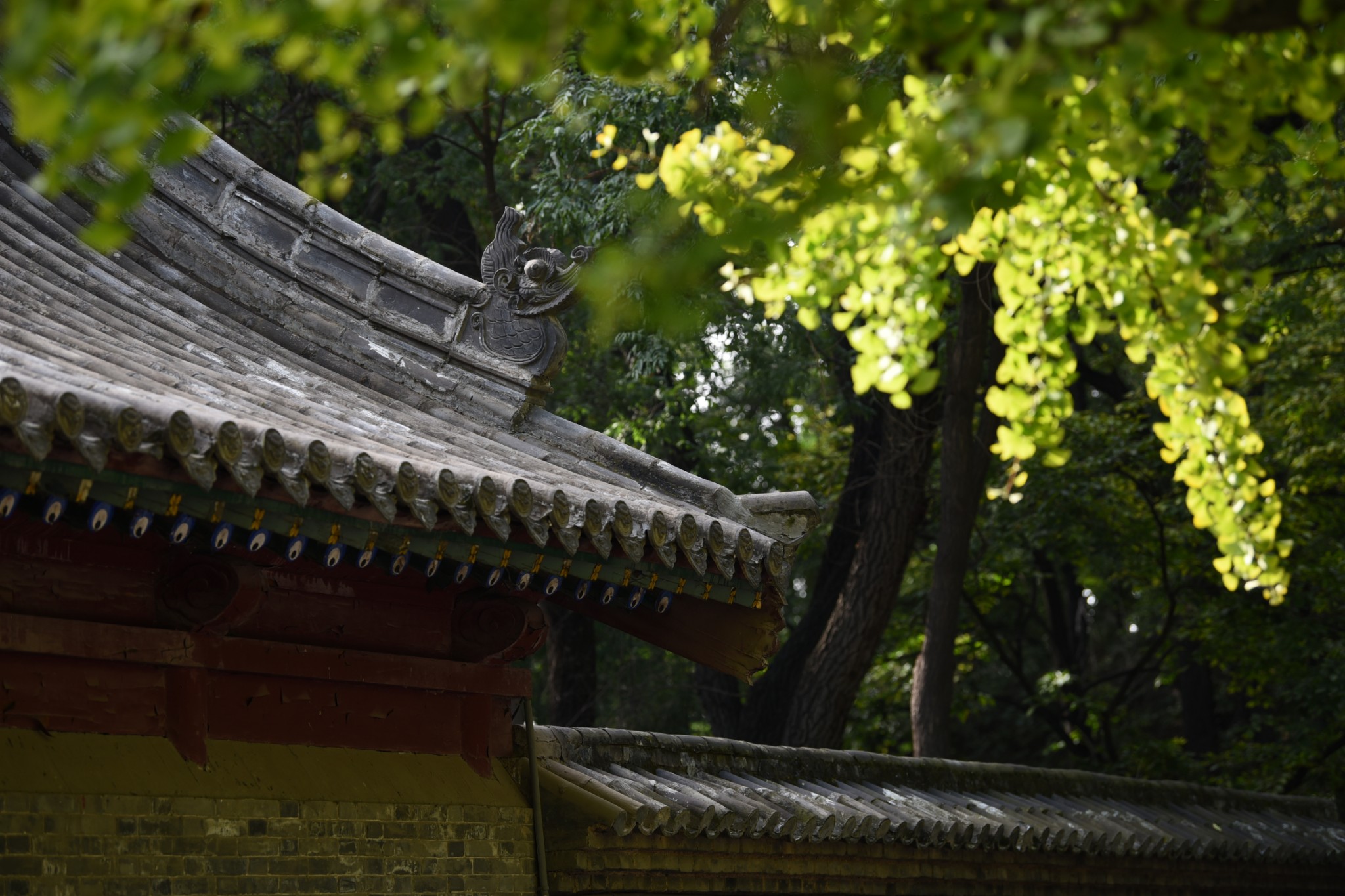 ·自然与人文的气息，来自那秋日的风——记国庆十一日山西自驾之旅_游记
