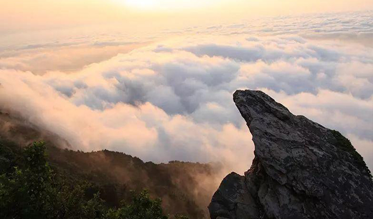 连云港花果山风景区一日电子门票