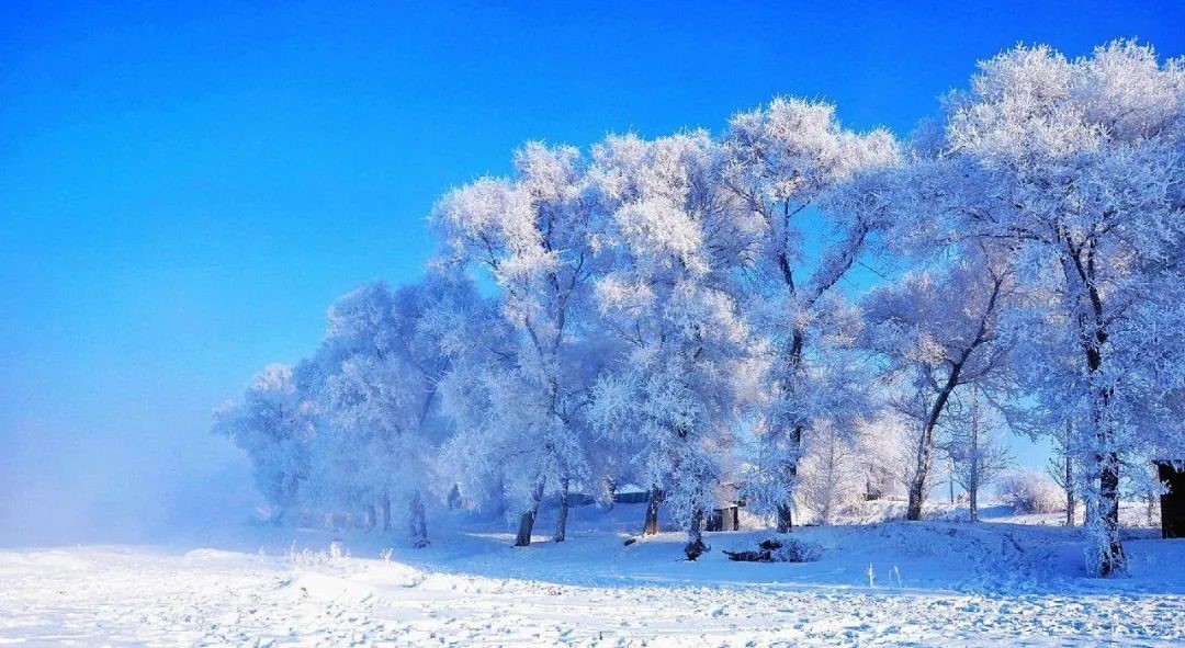 长白春雪美丨体坛田径英豪 无法抵挡极限粉雪诱惑 