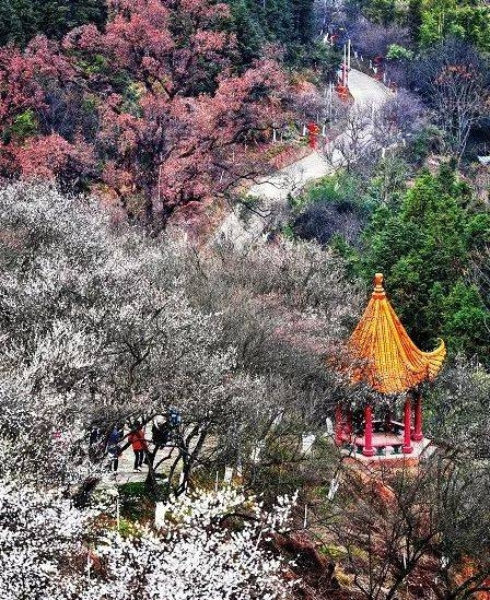 古驿道——梅岭