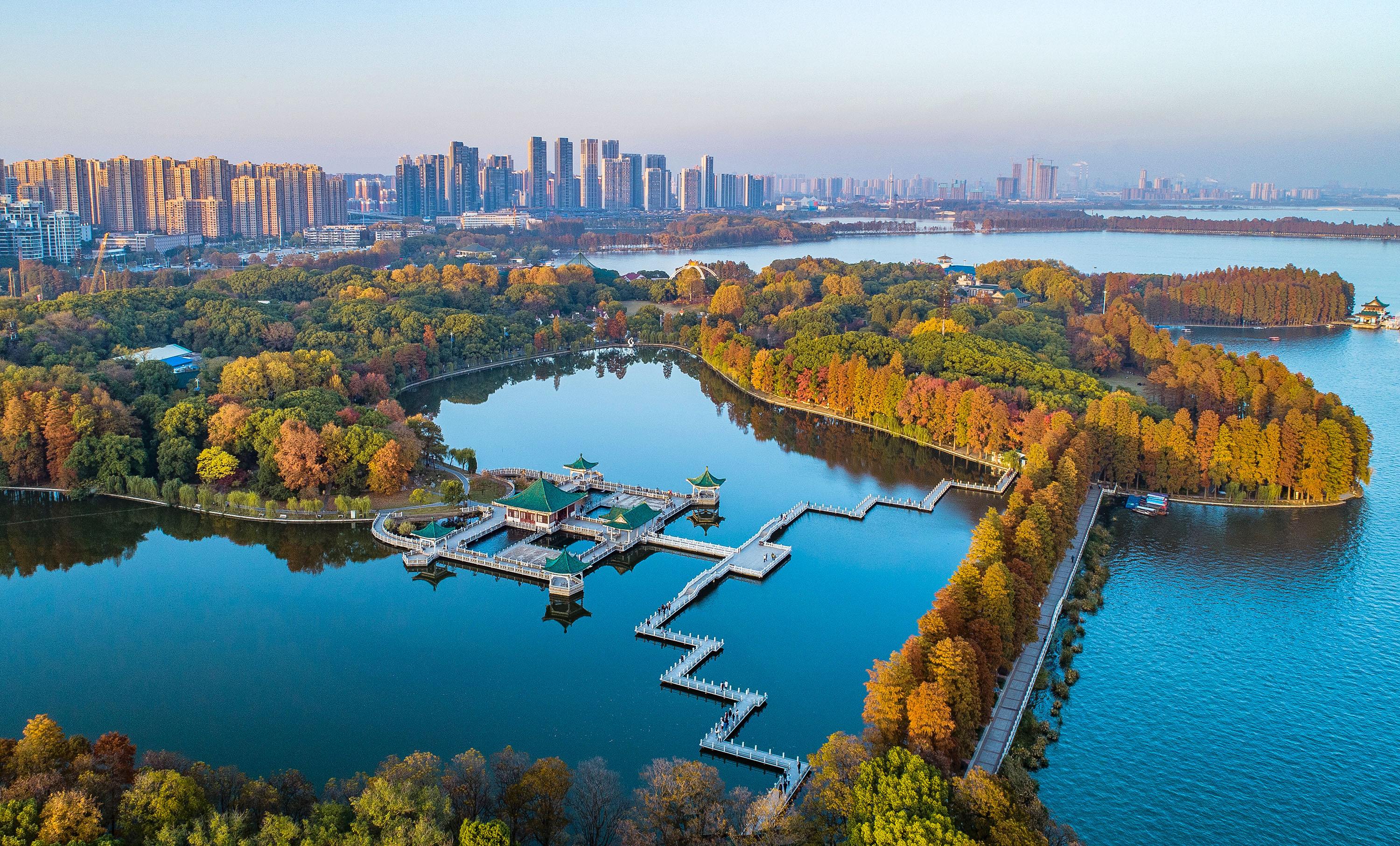 【武汉纯玩一日游 省博精讲】(黄鹤楼 东湖听涛景区 湖北省博物馆