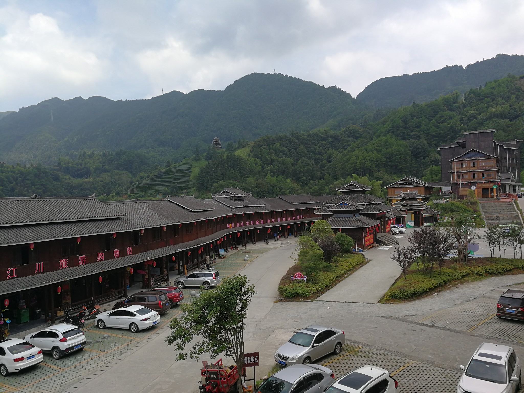 三江布央茶场，自驾休闲之行。_游记