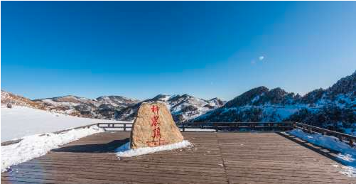 神农顶风景区 大九湖 天生桥 天燕 官门山 神农祭坛 成人票