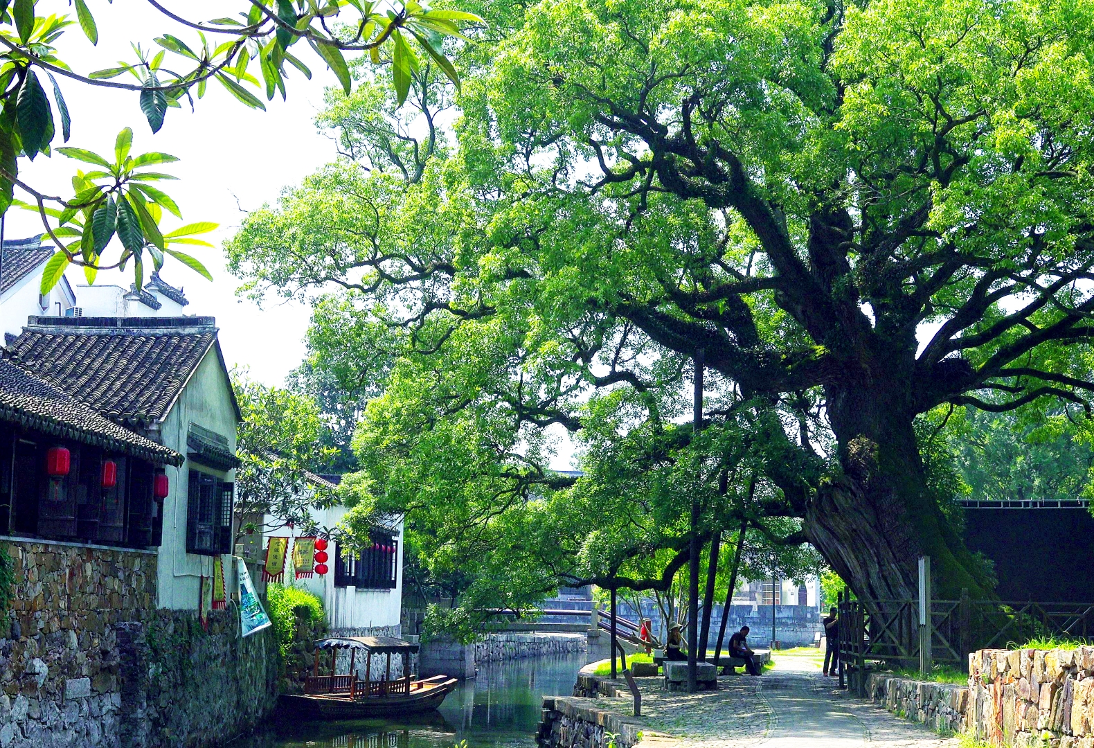 与太湖为伴，离自然很近的西山岛明月湾古村