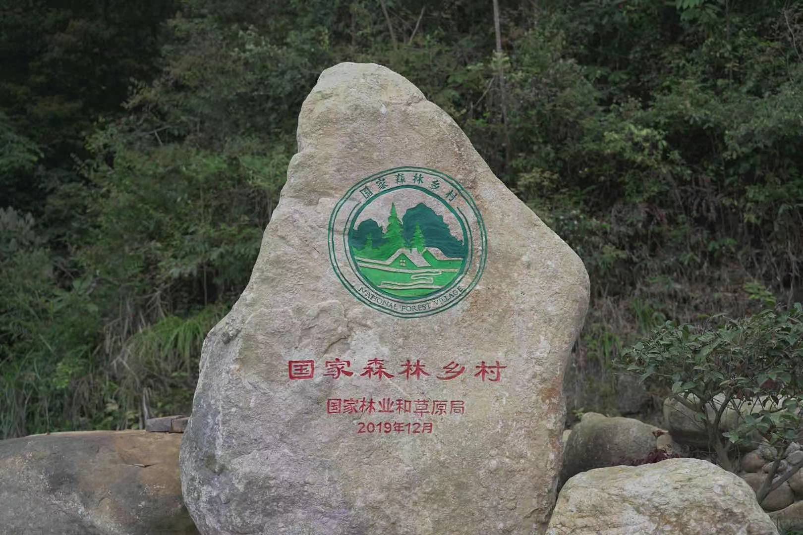 龙岩森林水乡(龙岩)lv.15