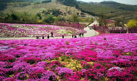 大连英歌石植物园门票随买随用