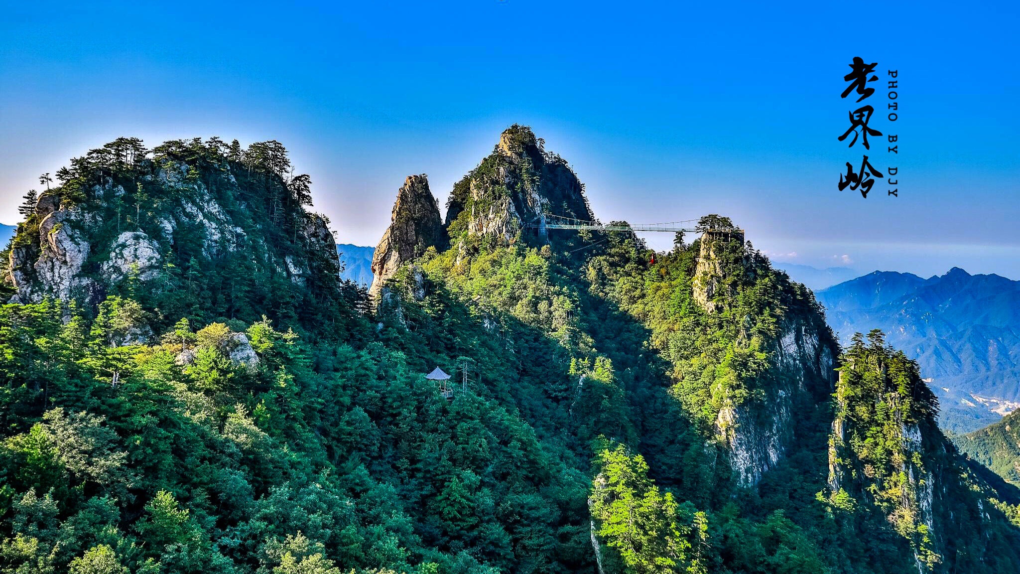 河南老界岭,你是大自然的诗篇_老界岭风景区游记_途牛