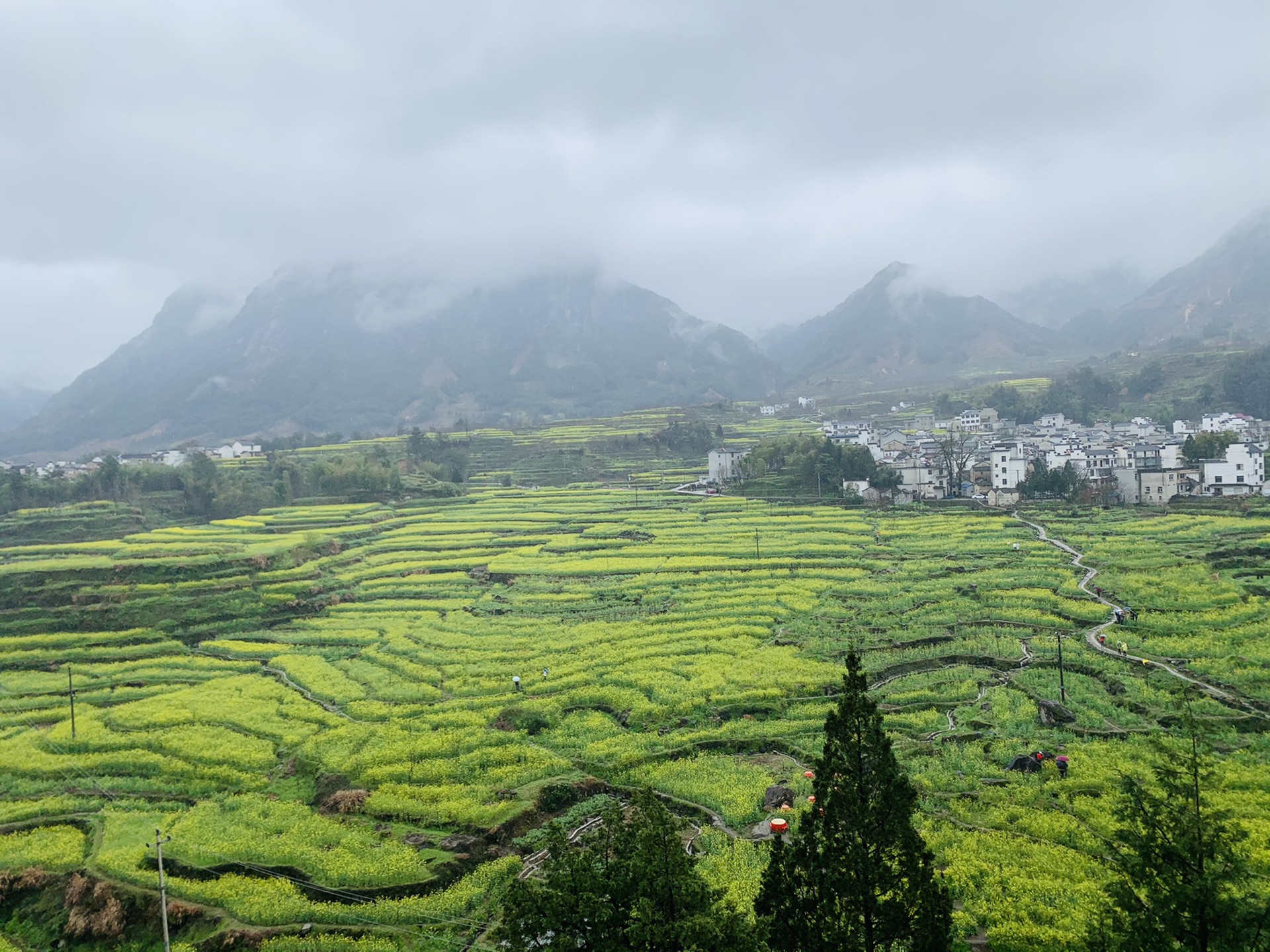 梅干岭观景台