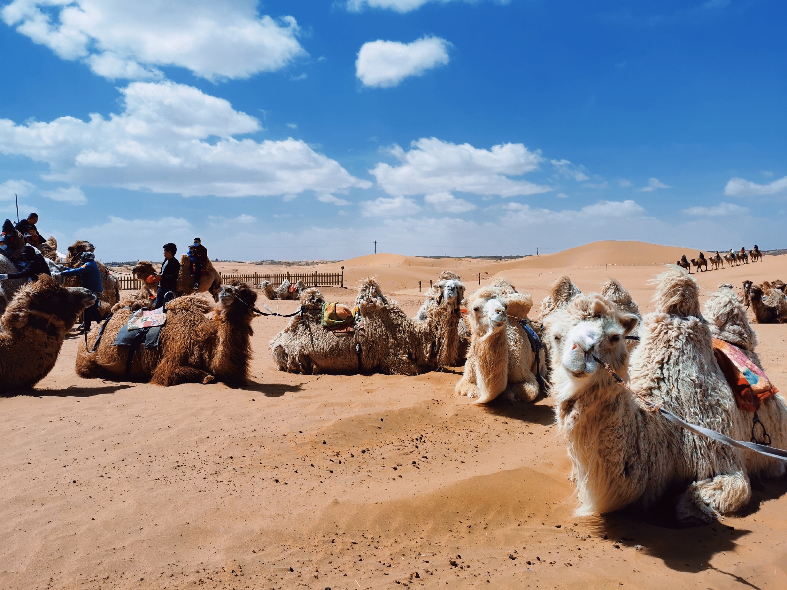 达拉特旗景点介绍,达拉特旗旅游景点,达拉特旗景点