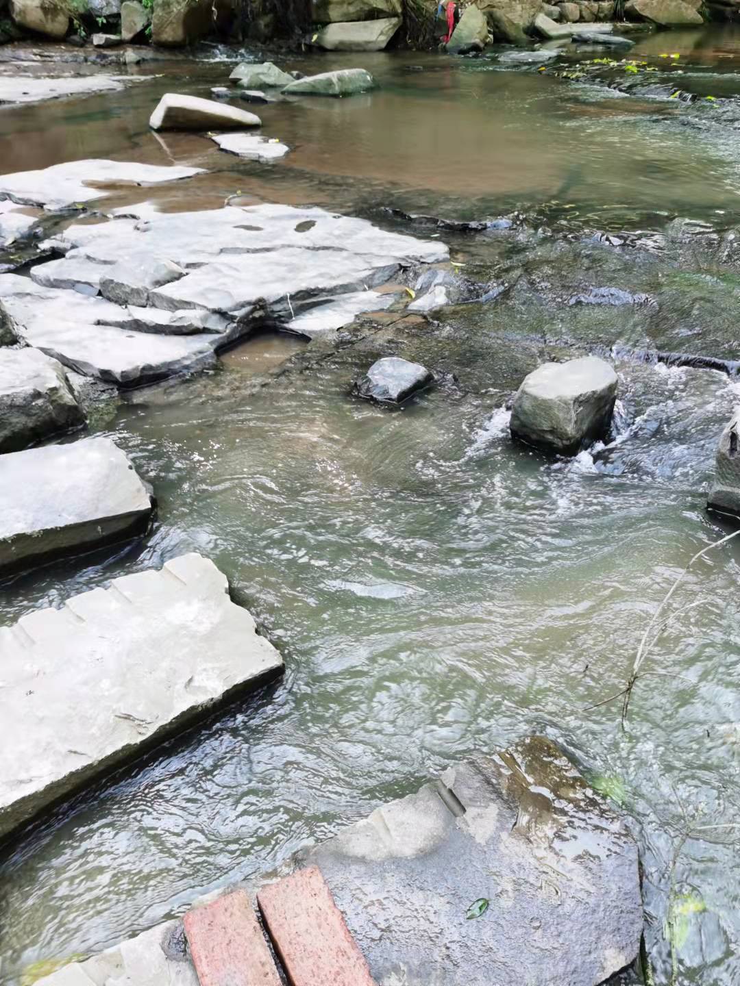 綦江的千年古镇，值得一玩_游记