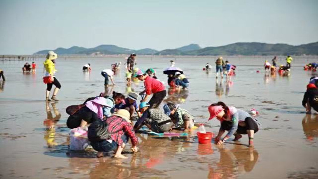 大连赶海 游艇出海 海底大峡谷一日游【15人团含餐】商务车 上门接送